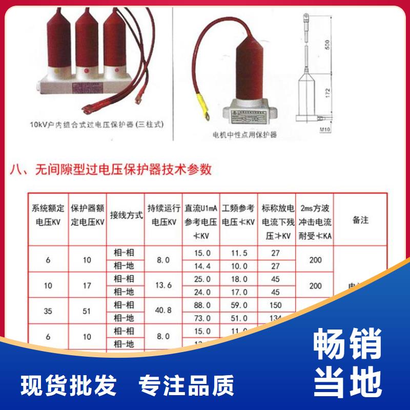 过电压保护器BSTG-B-7.6/131