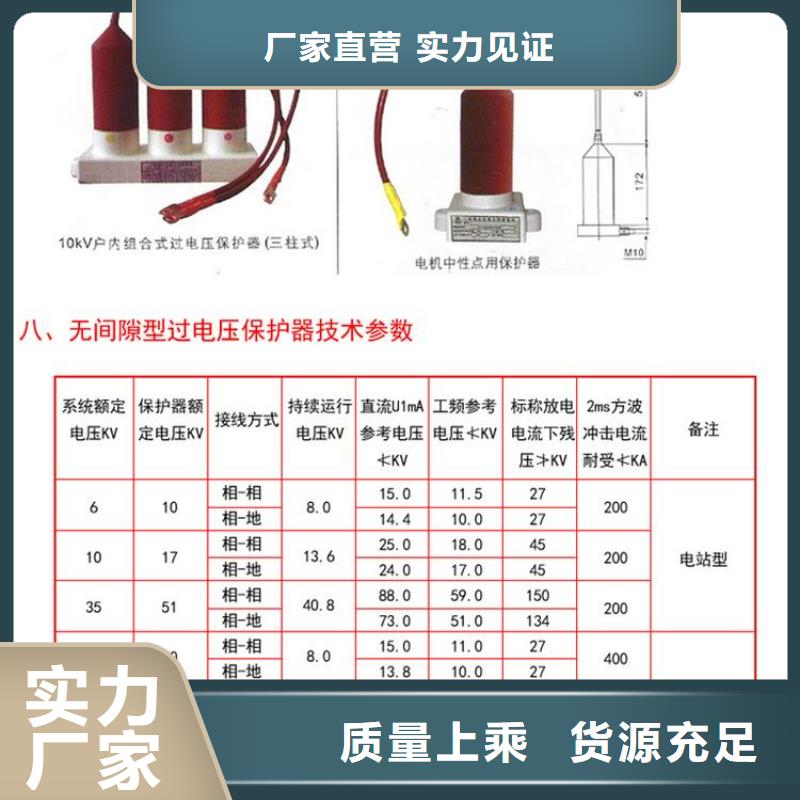 保护器(组合式避雷器)SYB-A-12.7/85-J