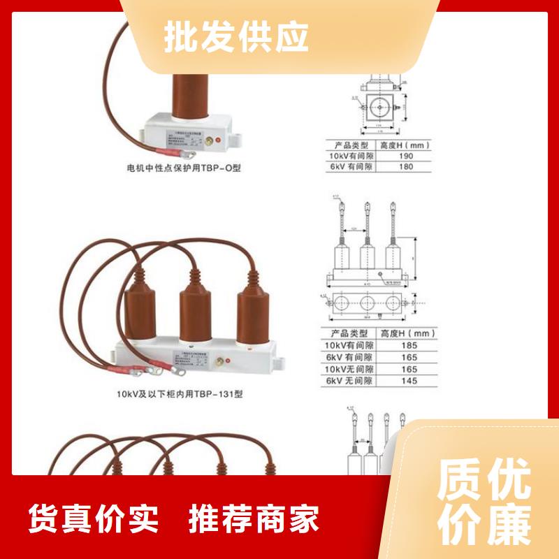 〖过电压保护器〗TBP-A-7.6F/85-J直供厂家