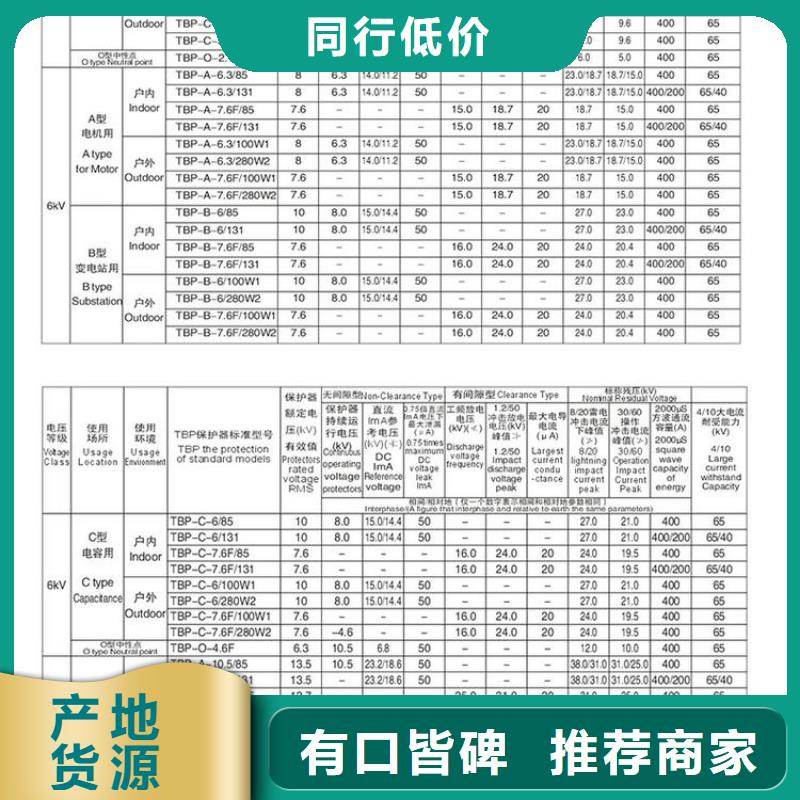 保护器(组合式避雷器)SYB-B-42/400W1