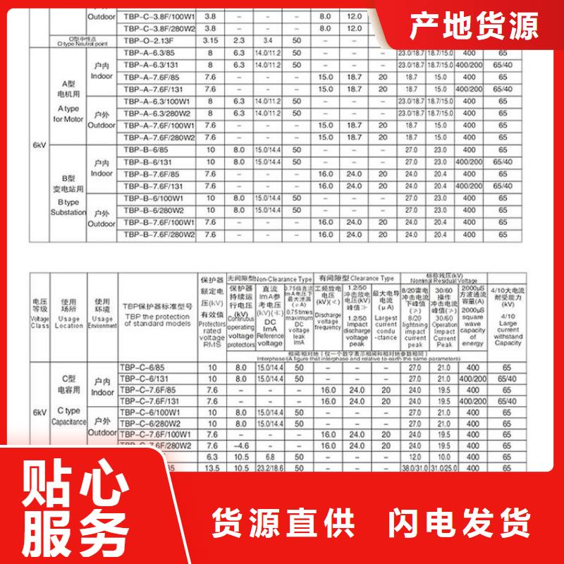 过电压保护器(组合式避雷器)TBP-A-12.7F/131-J