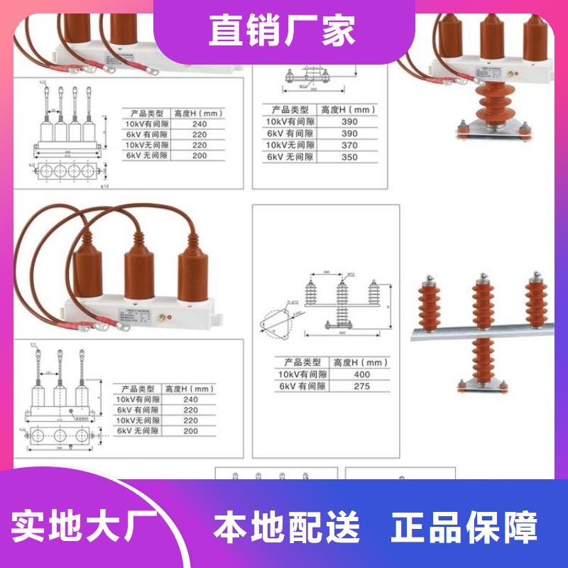 〖过电压保护器〗TBP-Y-C/35-T组合过电压保护器价格优惠