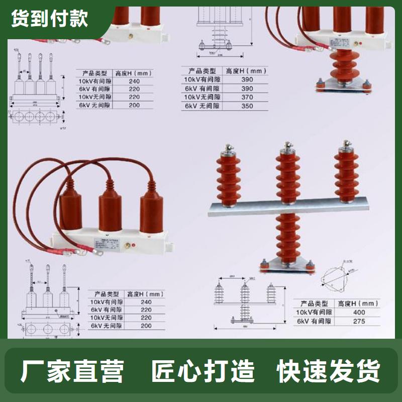 过电压保护器(组合式避雷器)TBP-A-7.6F/120