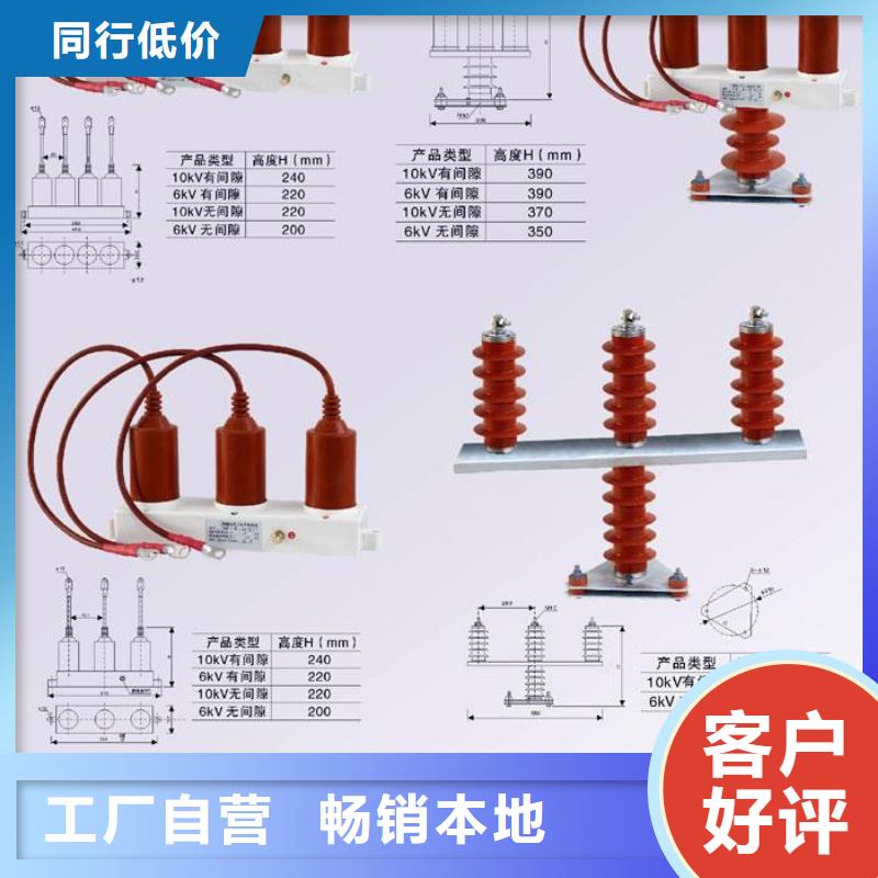 过电压保护器(组合式避雷器)HRB-B-6-J