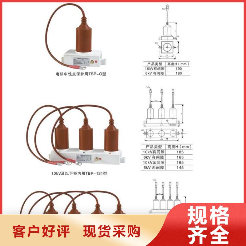 保护器(组合式避雷器)BSTG-O-8