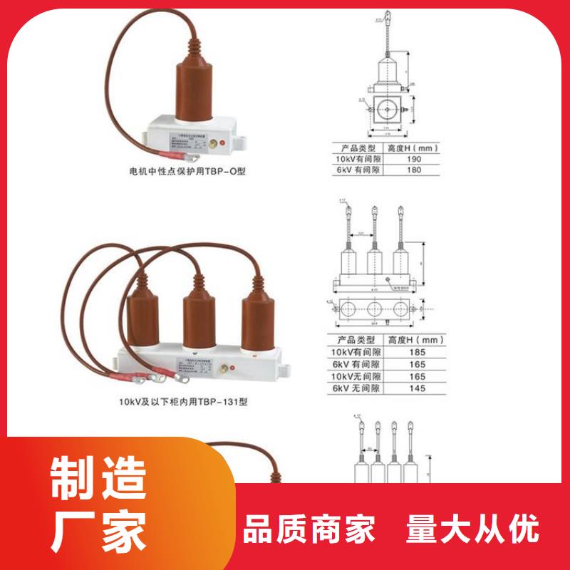 过电压保护器(组合式避雷器)BSTG-A-7.6/800