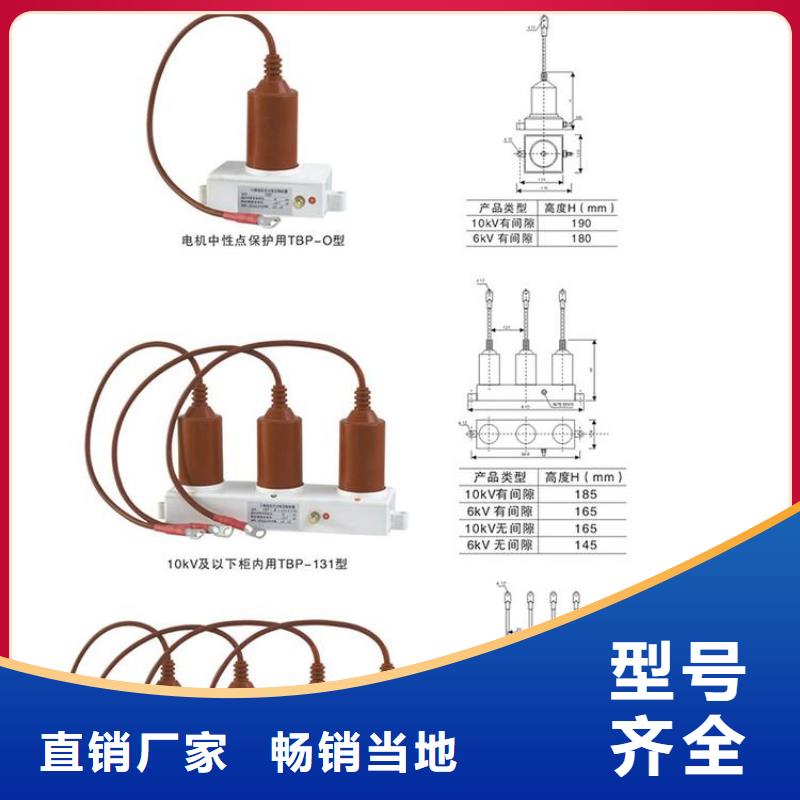 【避雷器/过电压保护器】TBP-B-12.7/131