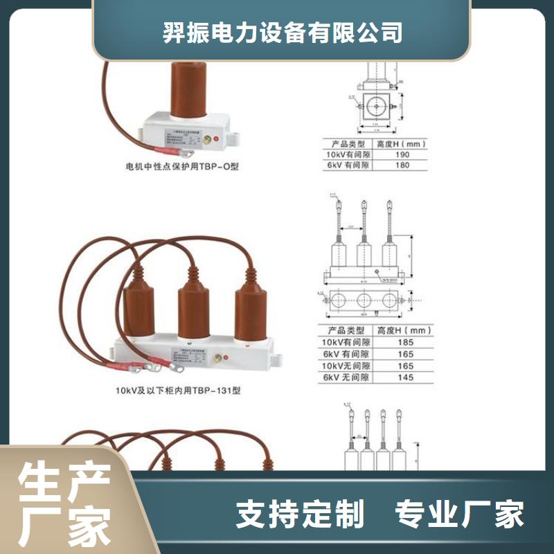 过电压保护器(组合式避雷器)TBP-A-6.3F/85