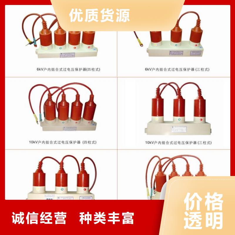 保护器(组合式避雷器)BSTG-A-6.3