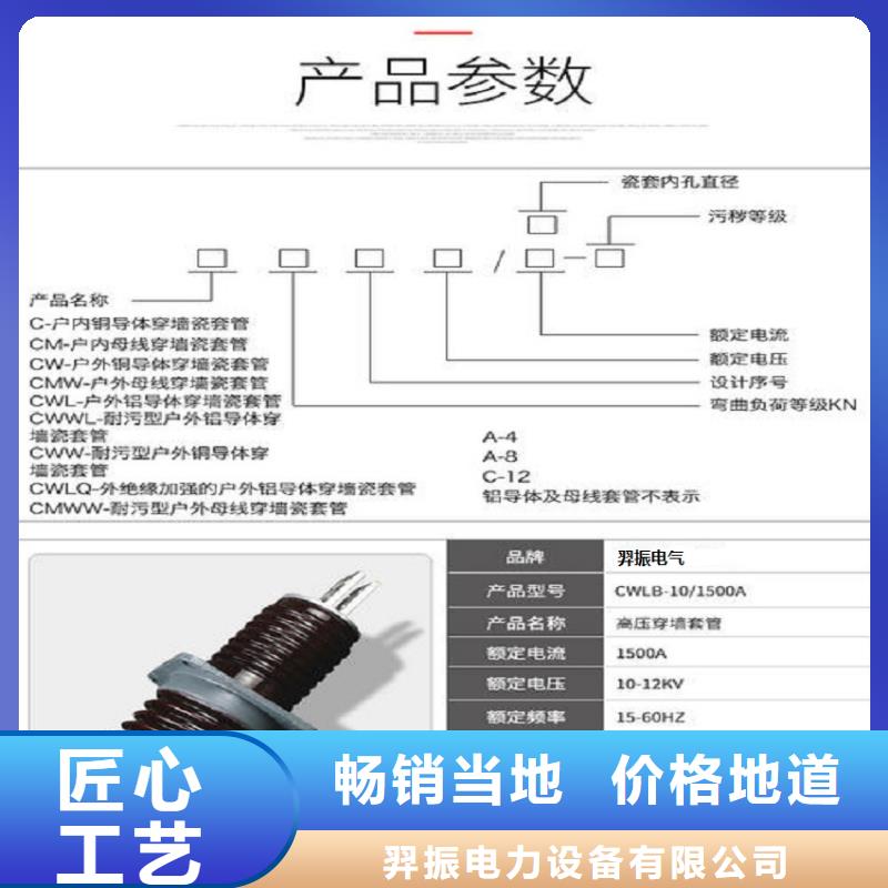 〖高压穿墙套管〗CWWL-40.5KV/4000图片