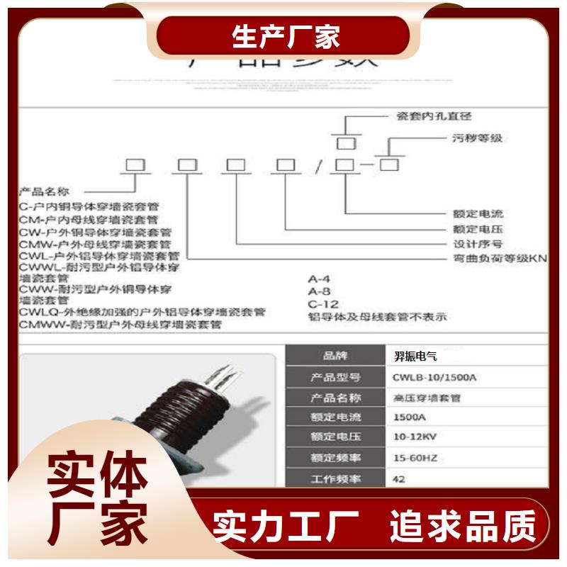 〖高压穿墙套管〗CWWL-10KV/2500-4在线报价