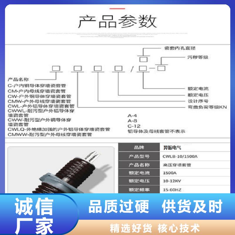 穿墙套管CWWL-35KV/4000A