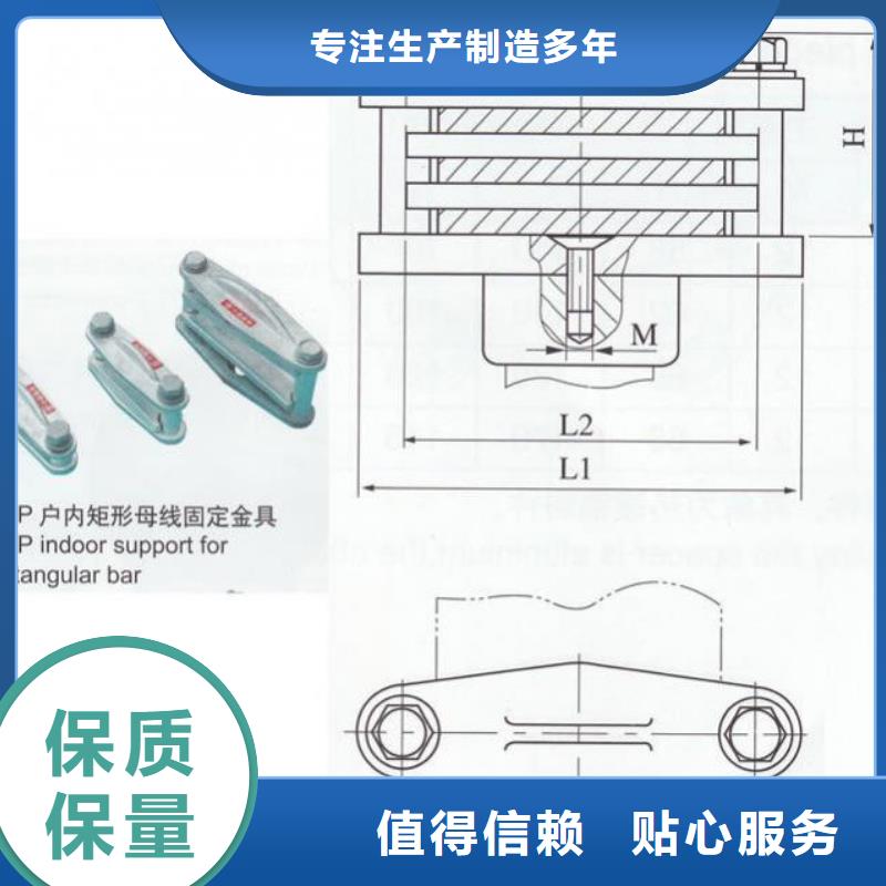 母线夹具MWP-101T