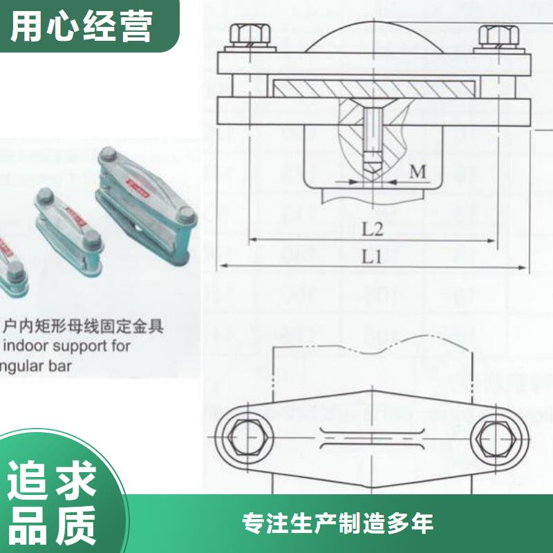 ZSW-126/8支柱绝缘子【上海羿振电力设备有限公司】