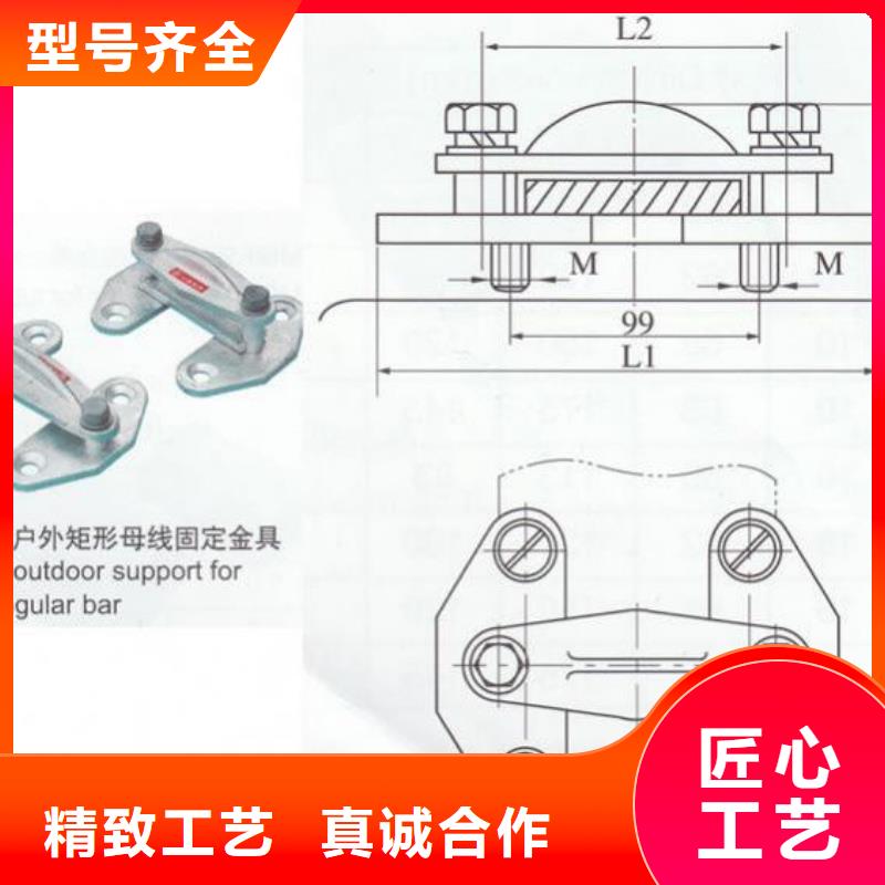 母线夹具MWP-101T