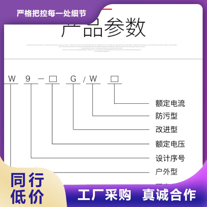 【户外高压交流隔离开关】HGW9-35W/200实力厂家.