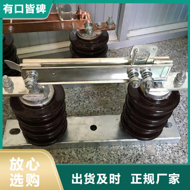 【隔离开关】10KV单级隔离开关GW9-10KV/200