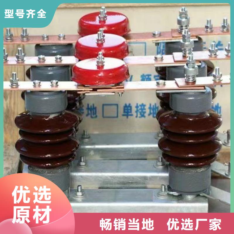 高压隔离开关HGW1-10KV/630