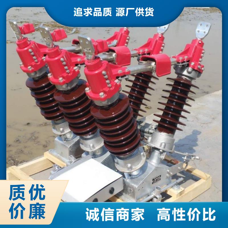 高压隔离开关HGW1-12KV/630A