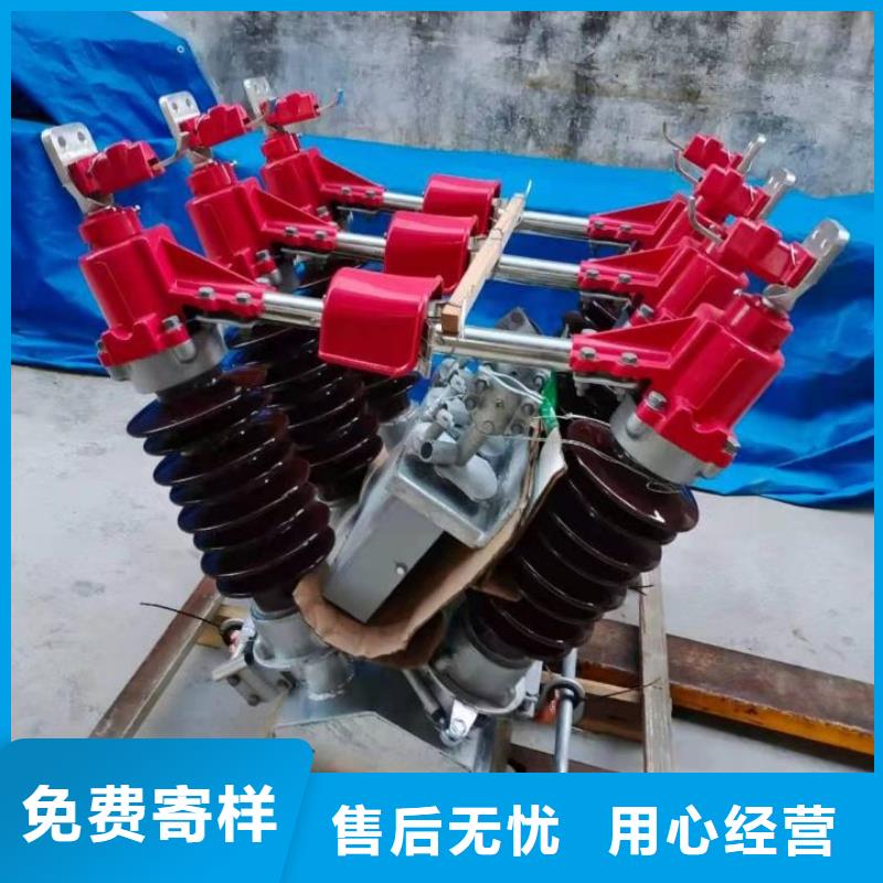 高压隔离开关HGW1-10KV/630