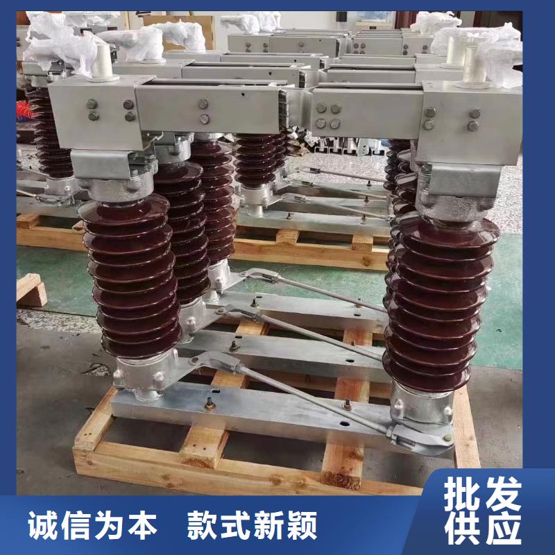 高压隔离开关HGW1-10KV/400