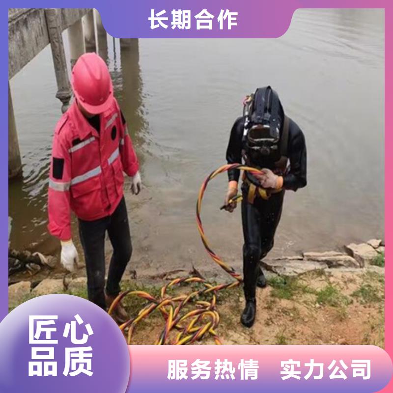 闸门水下作业检查定制-实力厂家