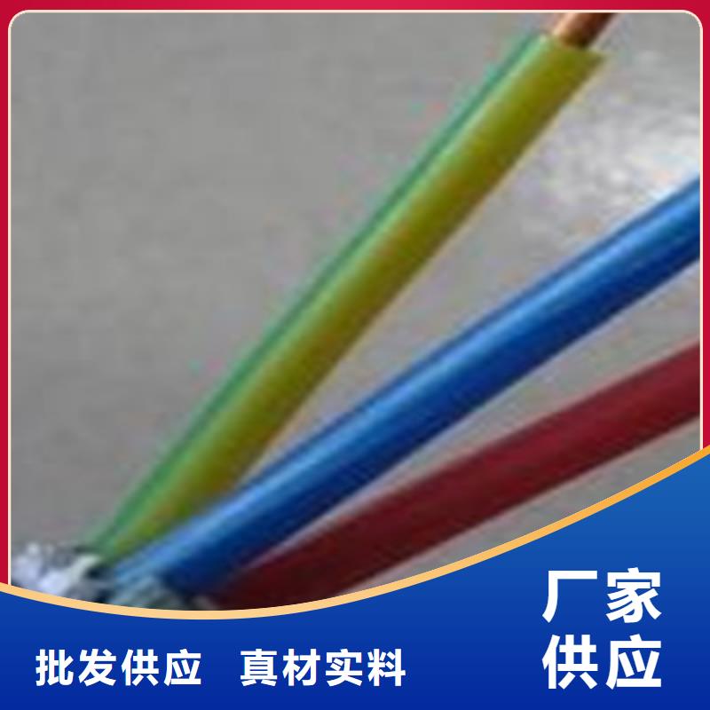 PTYL23-56X1.0价格实体大厂