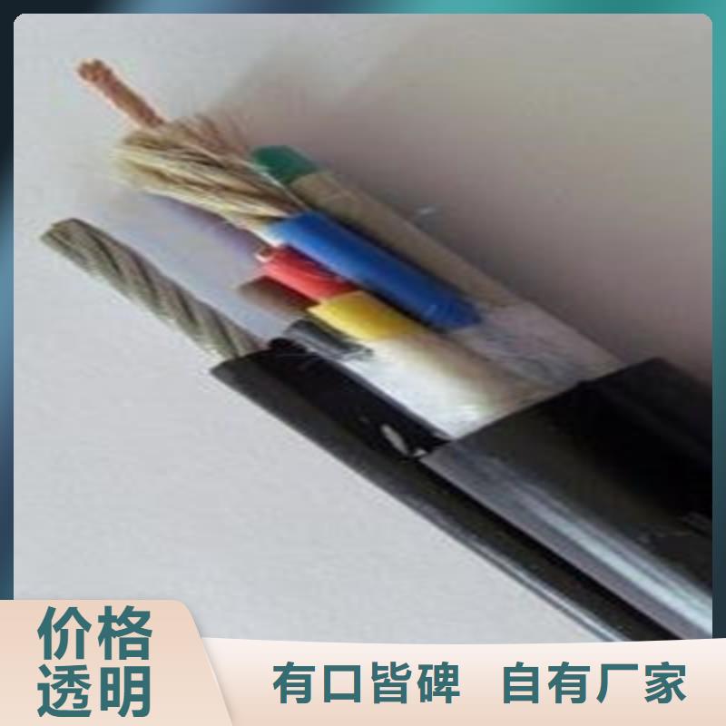 现货供应RVVP22铠装控制电缆_品牌厂家