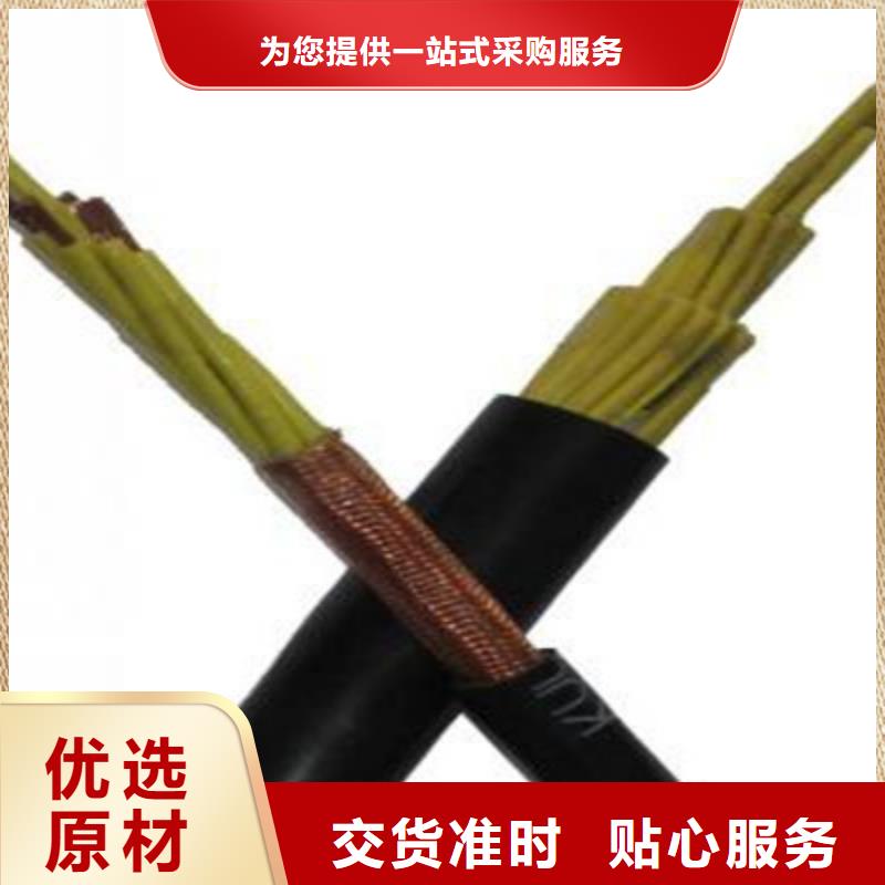 计算机屏蔽电缆DJYVRP2X2X1.0-计算机屏蔽电缆DJYVRP2X2X1.0质优