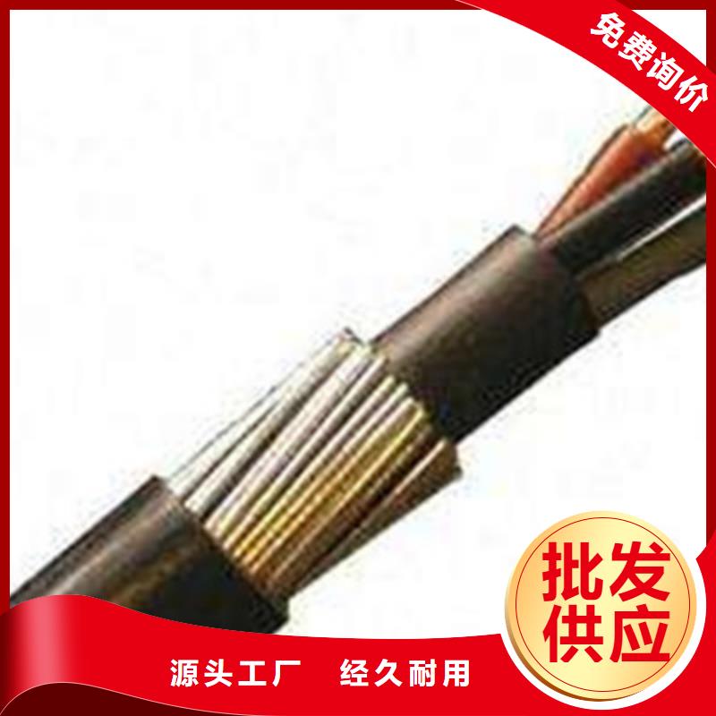 采购BIA-JYPV-2R2X2X0.5电缆-实体厂家可定制