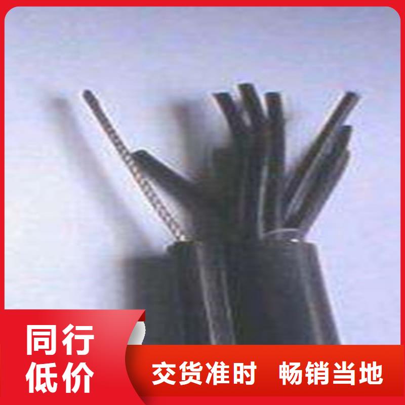 优选：ZB-KVVP6X1.5屏蔽阻燃控制电缆实力厂家