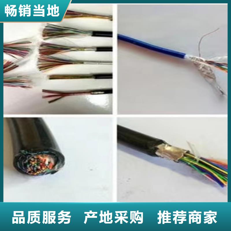 HCTEVS灰色通讯电缆1X2.5