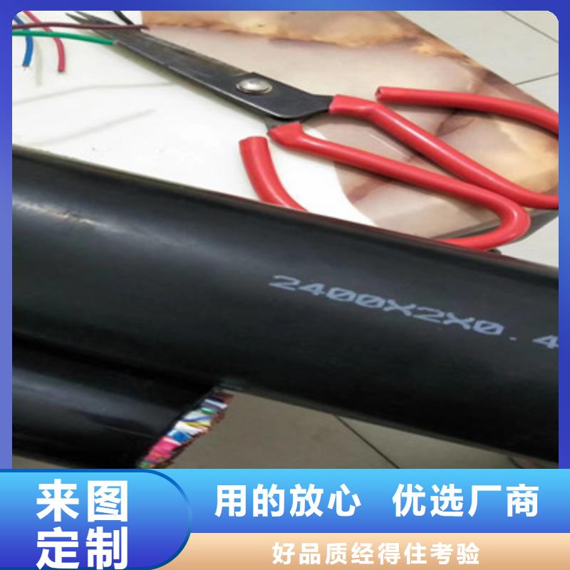 GS-HTPVRS屏蔽电缆3对0.2