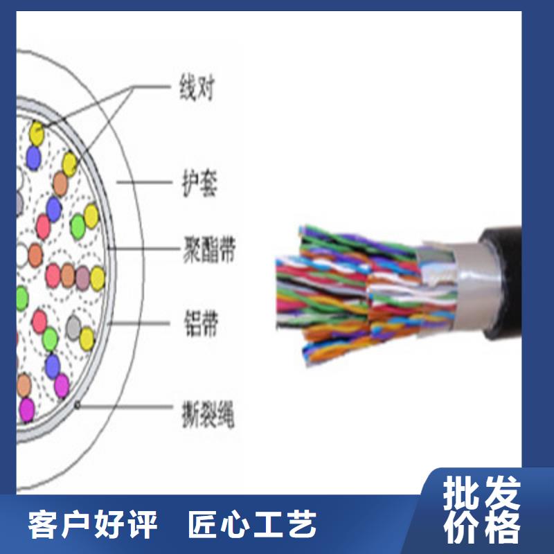 通讯电缆GS-HTPVRS放心购买