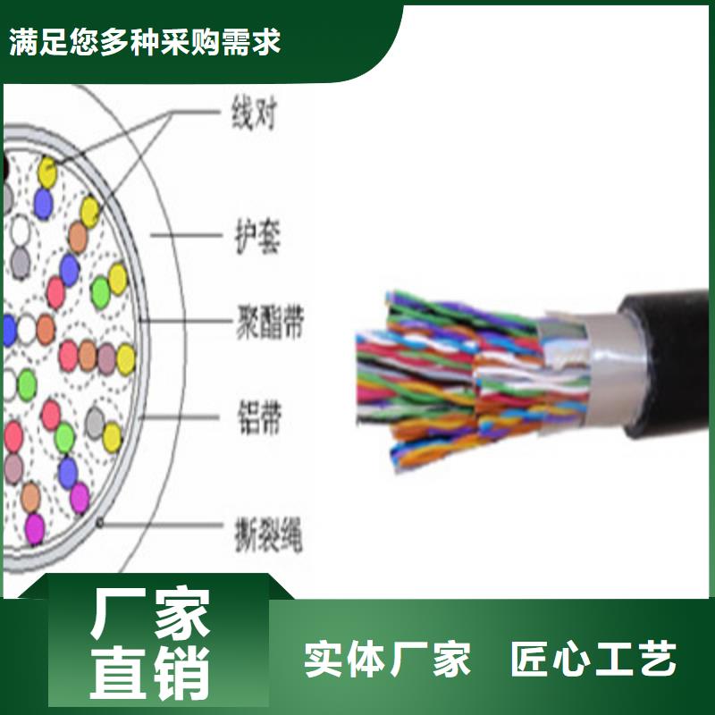 2X5L阻燃铠装屏蔽网线3芯1.0