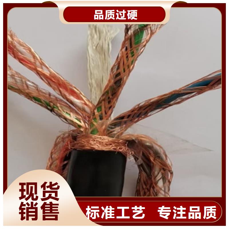 计算机电缆-电缆生产厂家用心做品质