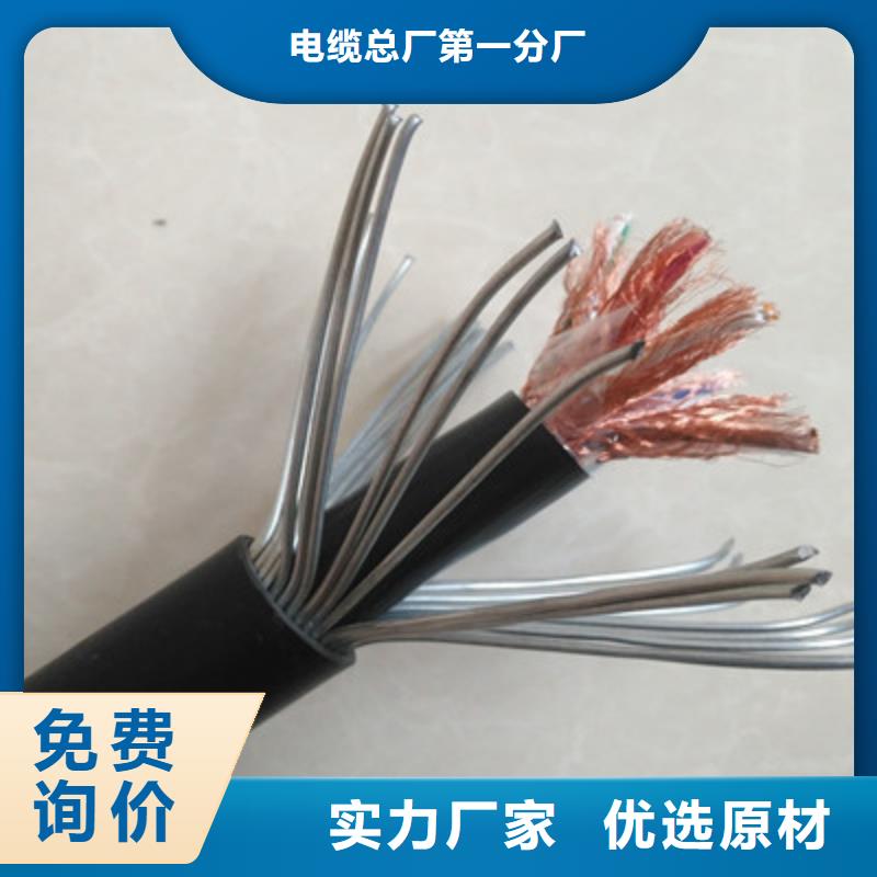 计算机屏蔽电缆BIA-JYPV-2R-计算机屏蔽电缆BIA-JYPV-2R定制