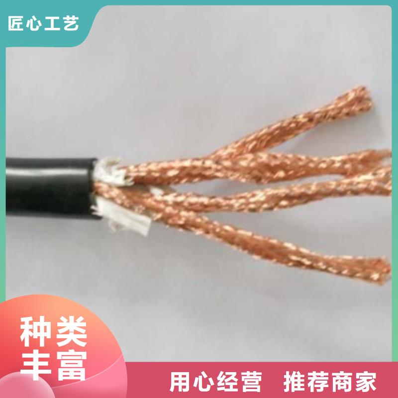 耐火计算机电缆NH-DJYJP3VP3-221X2X2.5