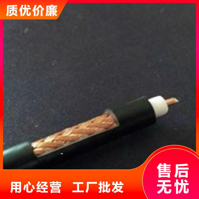 视频监控电缆SYP-可寄样品