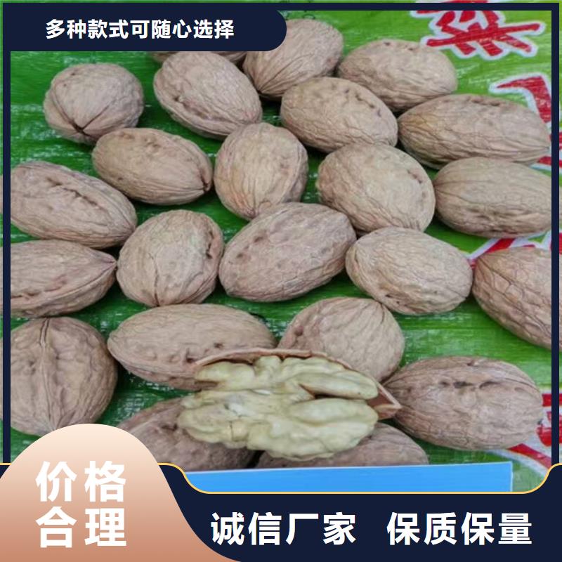 回族自治区红皮核桃苗哪里好