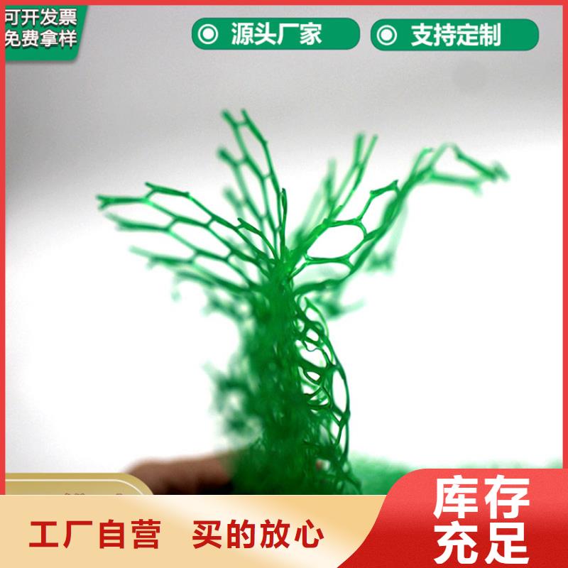 三维植被网防渗膜老品牌厂家