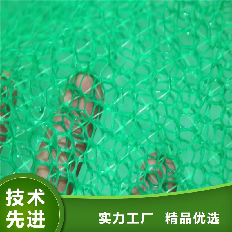 三维植被网硬式透水管专业信赖厂家