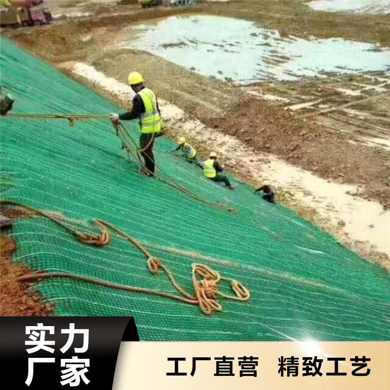 椰丝毯,土工膜支持拿样