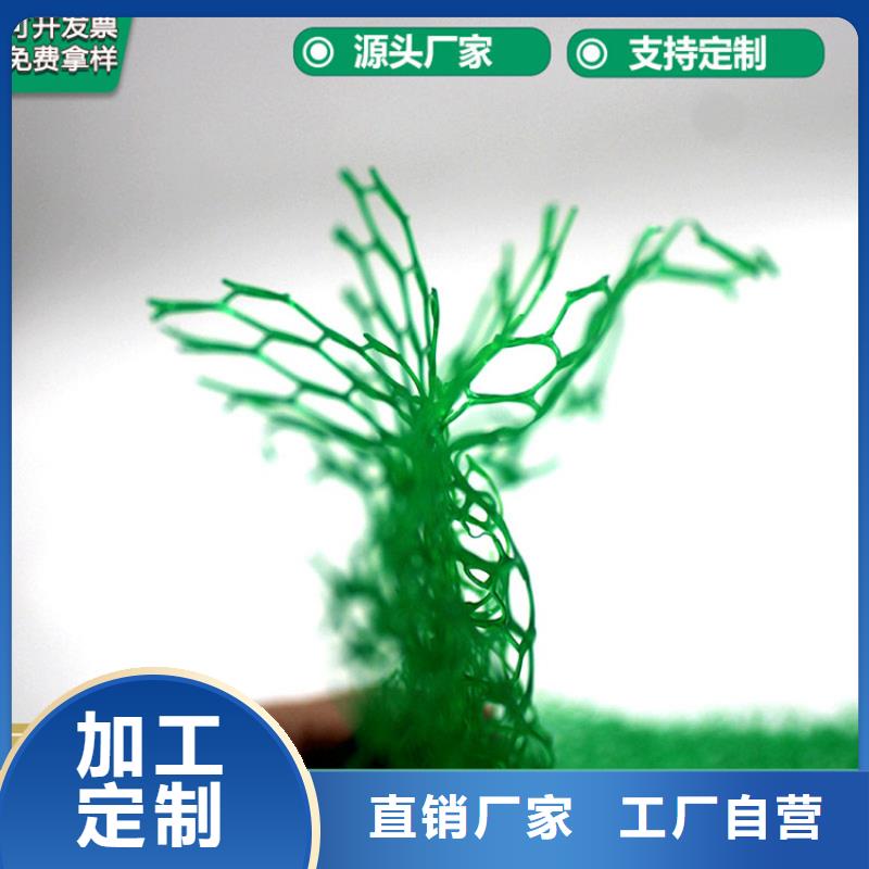 三维植被网80KN玻纤格栅购买的是放心