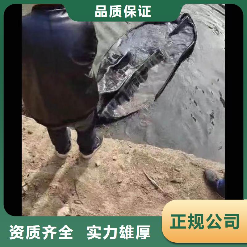 水鬼打捞公司——十佳蛙人组浪淘沙水工