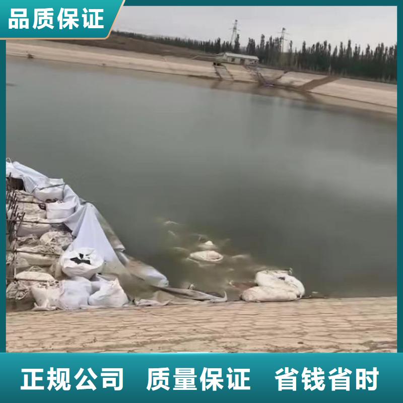 水鬼蛙人水下检修闸门-质优价廉-金玉良言