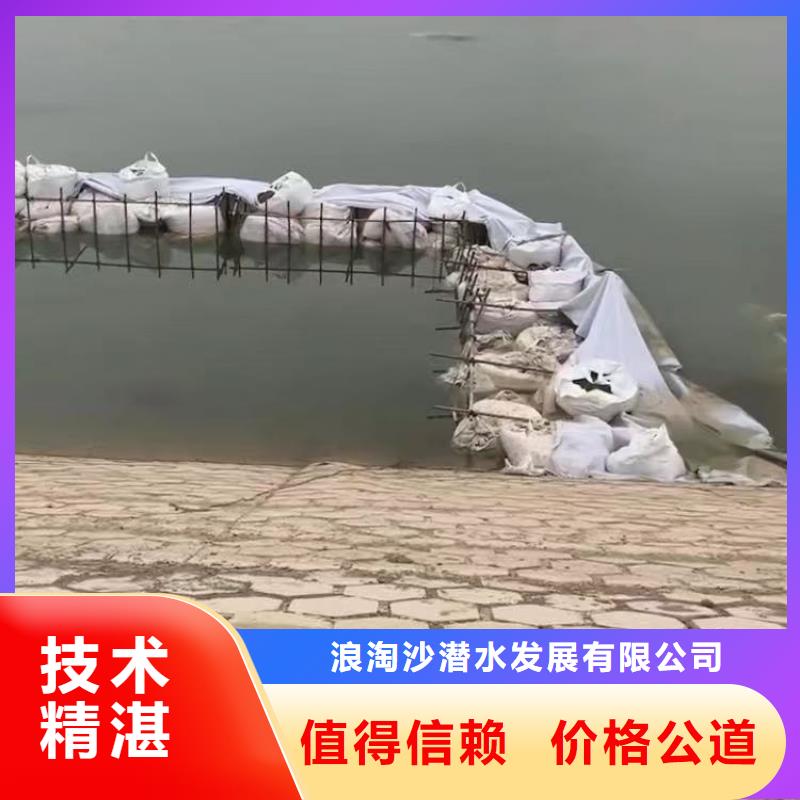 污水厂更换曝气管件发货及时浪淘沙潜水