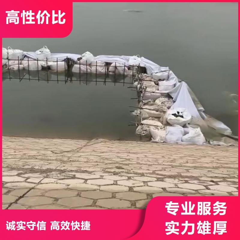 水下砌墙堵头供应同城蛙人打捞