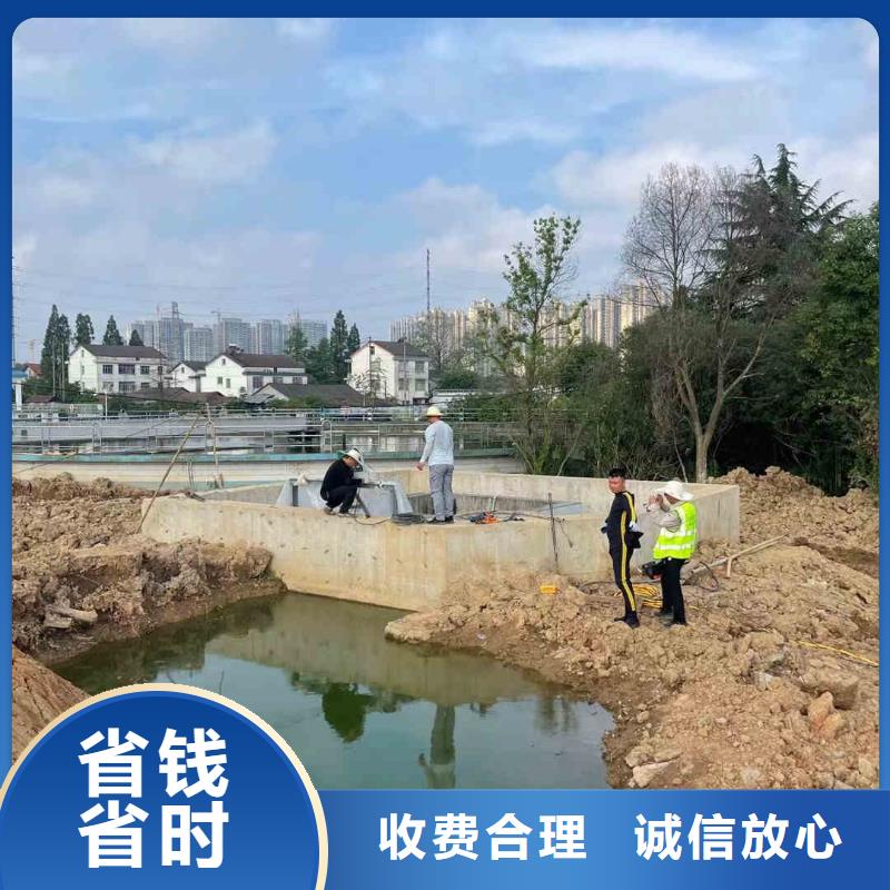 潜水新闻:水下探摸,拍照,录像公司{本地}2024已更新(今日/要闻)