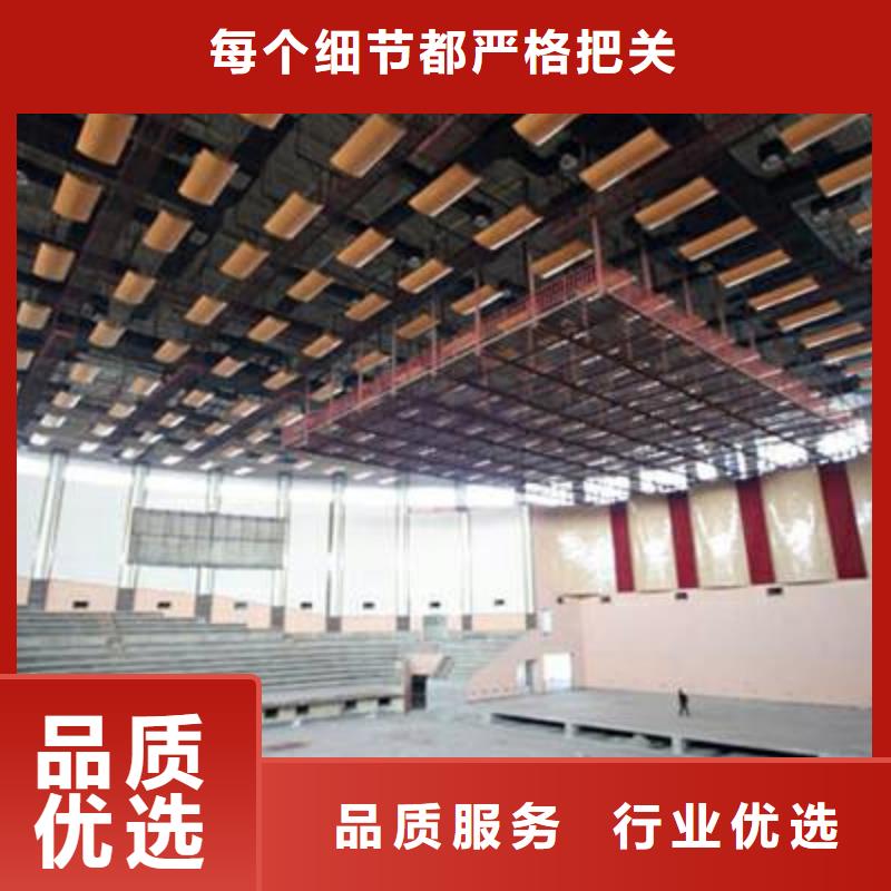 广东省深圳市南湾街道集团公司体育馆声学改造方案--2024最近方案/价格